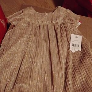 Gold Shimmer Pleated Dress
